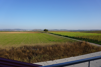 Balkon Aussicht FeWo 3 Terrassenlage, Weingut Schaaf Lauffen | © Neckar-Zaber-Tourismus