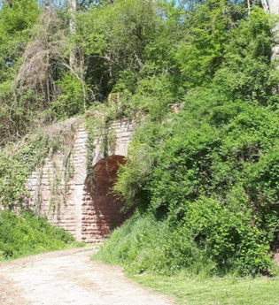 ***AUSGEBUCHT***  Vergessene Bahnstrecke Meckesheim - Wiesloch | © Rainer Zimmermann