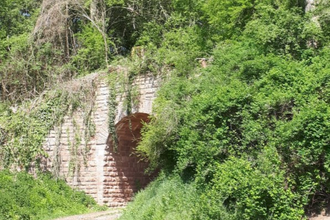 ***AUSGEBUCHT***  Vergessene Bahnstrecke Meckesheim - Wiesloch | © Rainer Zimmermann