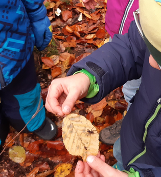 4 Tage Naturparkforscher unterwegs | © Angelika Hering