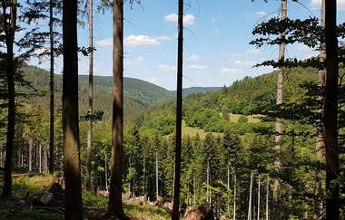 Als Grenzgänger in Lobbach unterwegs!