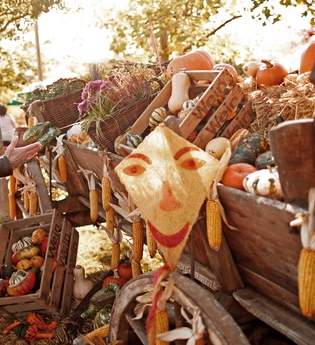 Ein älteres Paar betrachtet einen herbstlich dekorierten Wagen mit Kürbissen und Maiskolben. | © Erlebnispark Tripsdrill