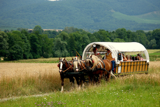 Auf den Spuren der Maulbronner Mönche