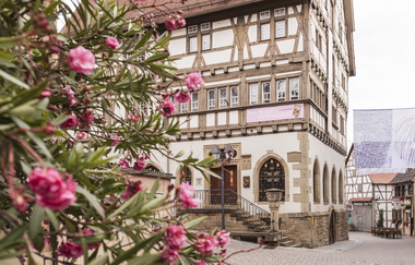 Museum "Alte Universität" | Stadt Eppingen | HeilbronnerLand | © Touristikgemeinschaft HeilbronnerLand