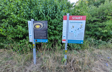 Bannwald - Neckarschleife - Evolutionspfad | © Quelle: Landratsamt Rhein-Neckar-Kreis