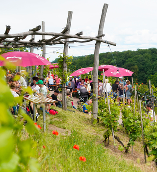 Berg & Wein | Stromberg-Zabergäu | © WGSZ
