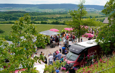Berg & Wein | Stromberg-Zabergäu | © WSGZ
