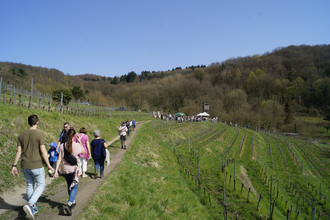 Blütenwegfest Bergstraße