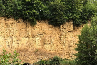Der Schatz am Kallenbergsee