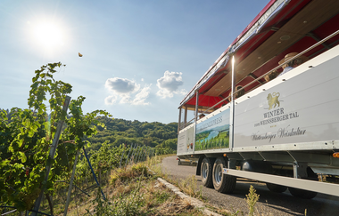 Löwen-Express | Planwagen- und Weinbergrundfahrten im Weinsberger Tal | © Tourismus im Weinsberger Tal