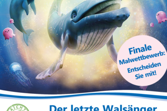 Familienkino "Der letzte Walsänger" | © Stadt Kraichtal