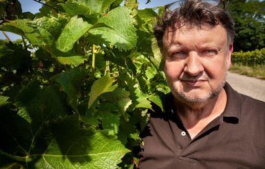 Frühjahrsverkostung | © WEINGUT LUDWIG HONOLD