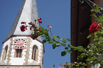 Jakobus Stadtkirche Brackenheim | © Neckar-Zaber-Tourismus eV.