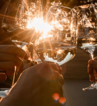 Weingläser beim Anstoßen Landgut Steng | © Jana Reichert Photography