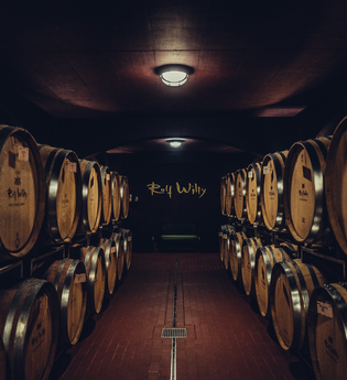 Privatkellerei Rolf Willy | HeilbronnerLand | © Touristikgemeinschaft HeilbronnerLand