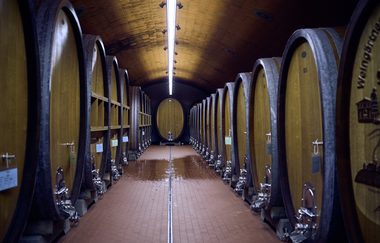 Kelterparty | Stromberg-Zabergäu