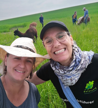 Alpakawanderung | © Stadt Bönnigheim