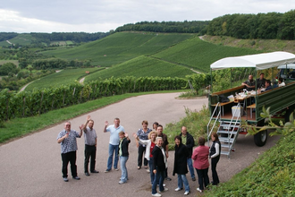 Lemberger Express | Planwagen- und Weinbergrundfahrten | Brackenheim | © Weinkonvent Dürrenzimmern
