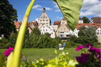 Blick auf die Altstadt von Besigheim mit historischen Gebäuden, umrahmt von grünen Pflanzen und bunten Blumen im Vordergrund. | © Stadt Besigheim