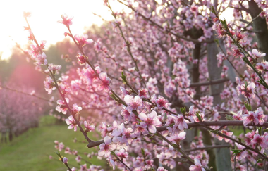 Natur-Markt | © Wino Bio GmbH