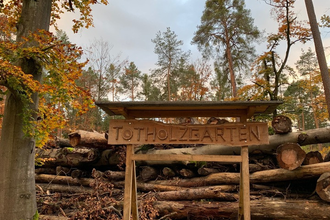 Natürlich künstlich. Wald, Sanddüne und Totholzgarten