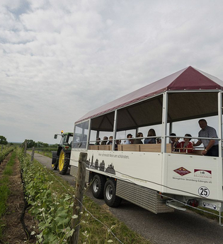 Theo | Planwagen- und Weinbergrundfahrten | Brackenheim | © Weingärtner Stromberg-Zabergäu