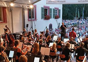 Bild vom Orchester | © Schlossparkserenade (Foto: Dorothea Burkhard)