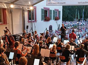 Bild vom Orchester | © Schlossparkserenade (Foto: Dorothea Burkhard)