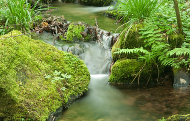 Schwarzbach von der Quelle bis zur Mündung | © Quelle: Landratsamt Rhein-Neckar-Kreis
