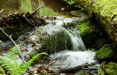 Schwarzbach von der Quelle bis zur Mündung | © Quelle: Landratsamt Rhein-Neckar-Kreis