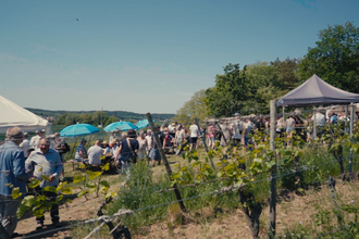 Menschen vor Weinständen im Weinberg