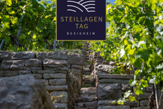 Steillagentag am Niedernberg | © Stadt Besigheim