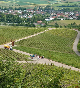 Sundowner im Weinberg | © Weingut Weiberle