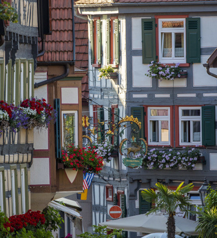 Fachwerkhäuser in einer deutschen Altstadt mit bunten Fensterläden und Blumenkästen. | © Stadt Besigheim