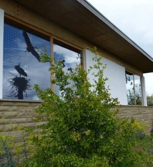 Unsichtbare Gefahr: Vogelschlag an Glasflächen | © Naturpark Stromberg Heuchelberg