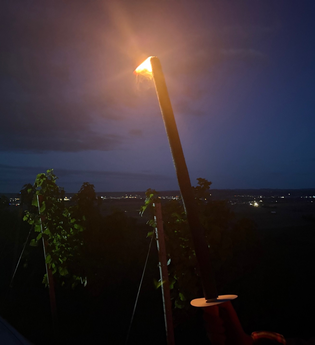 Fackel in den Weinbergen