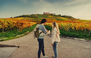 Unterwegs am Michaelsberg | Cleebronn | © Touristikgemeinschaft HeilbronnerLand e.V.