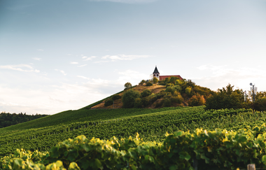 Michaelsberg Cleebronn | Heilbronn | © Touristikgemeinschaft HeilbronnerLand