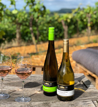 Weinterrasse | © Panoramaweingut Baumgärtner