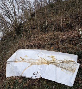 Zeichnen mit der Natur - in der Natur