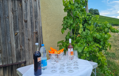 "Ja Heideblitz - de Wengertschütz"