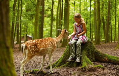 Action, Wissen, Abenteuer | Familienpauschale | © Erlebnispark Tripsdrill