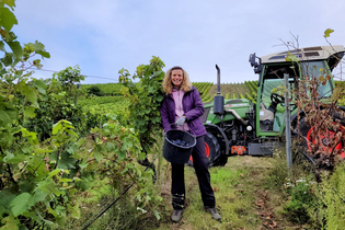 Bad Mergentheim erleben - kurzweilige Stadtführung mit Weinprobe!