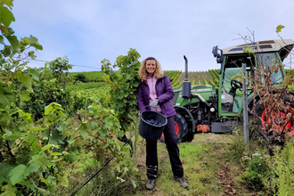 Bad Mergentheim erleben - kurzweilige Stadtführung mit Weinprobe!