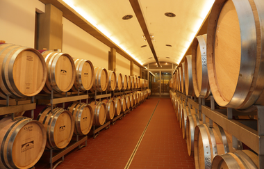 Weinkeller WG Stromberg-Zabergäu | Brackenheim | HeilbronnerLand | © Weingärtner Stromberg-Zabergäu