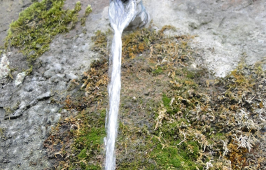 Der Brunnenweg | naturkundliche Führung in Pfaffenhofen mit Förster a.D. Robert Böckle