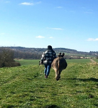 Erleben Sie die Welt der Esel mit Gästeführerin Birgit Lomnitzer | © Stadt Kraichtal