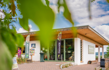 Fledermäuse - Jäger der Dunkelheit Aktionsnachmittag im Naturparkzentrum
