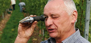 Gast im Weingut an der Tauber ganz oben | © Glocke Weingut und Hotel