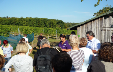 Weinerlebnistour | Regine Sommerfeld | Weinerlebnisführerin | HeilbronnerLand | © Regine Sommerfeld